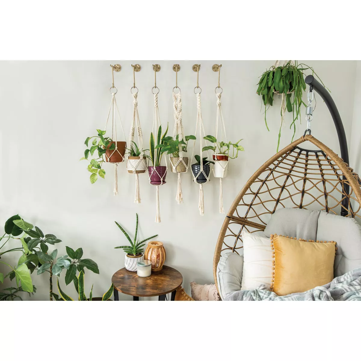 National Hardware 4 In. Brushed Gold Steel Modern Small S-Hook Plant Hanger - photo 2