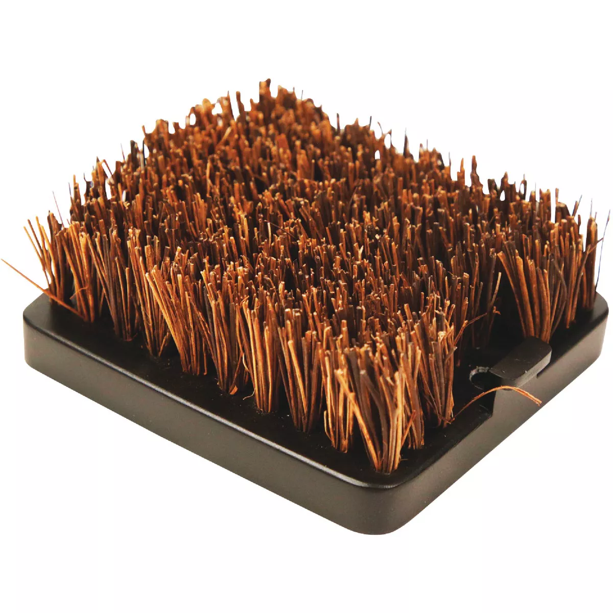 Pit Boss Palmyra Grill Brush Replacement Head