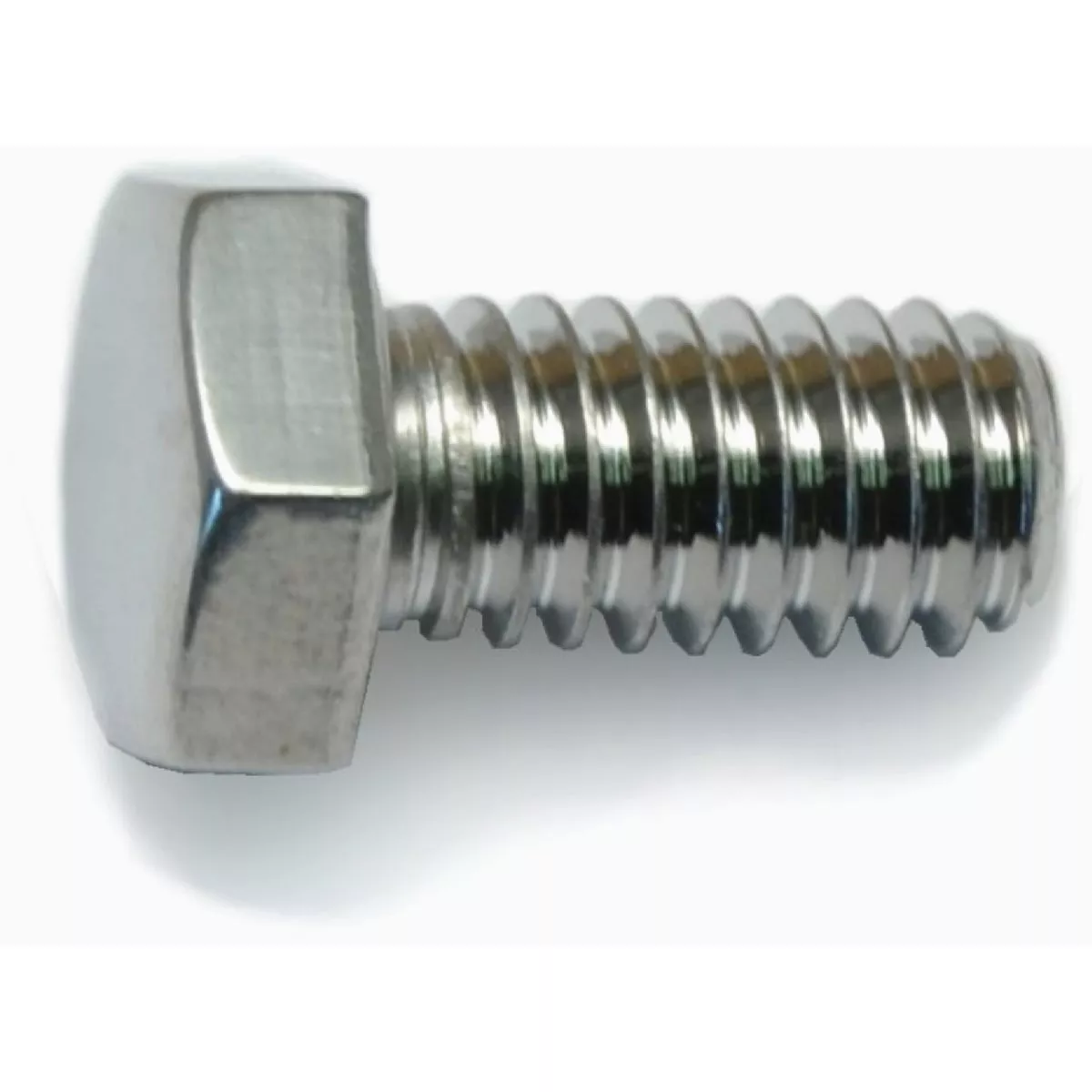 Midwest Fastener 5/16 In.-18 x 5/8 In. Polished 18-8 Stainless Steel Coarse Thread Hex Cap Screws (10 Ct.)