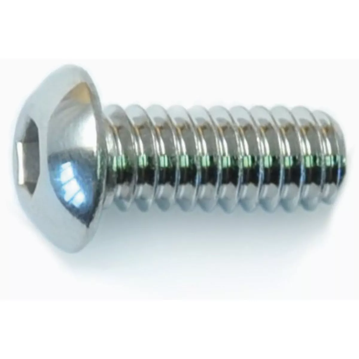 Midwest Fastener 1/4 In.-20 x 5/8 In. Polished 18-8 Stainless Steel Coarse Thread Button Head Socket Cap Screws (8 Ct.)