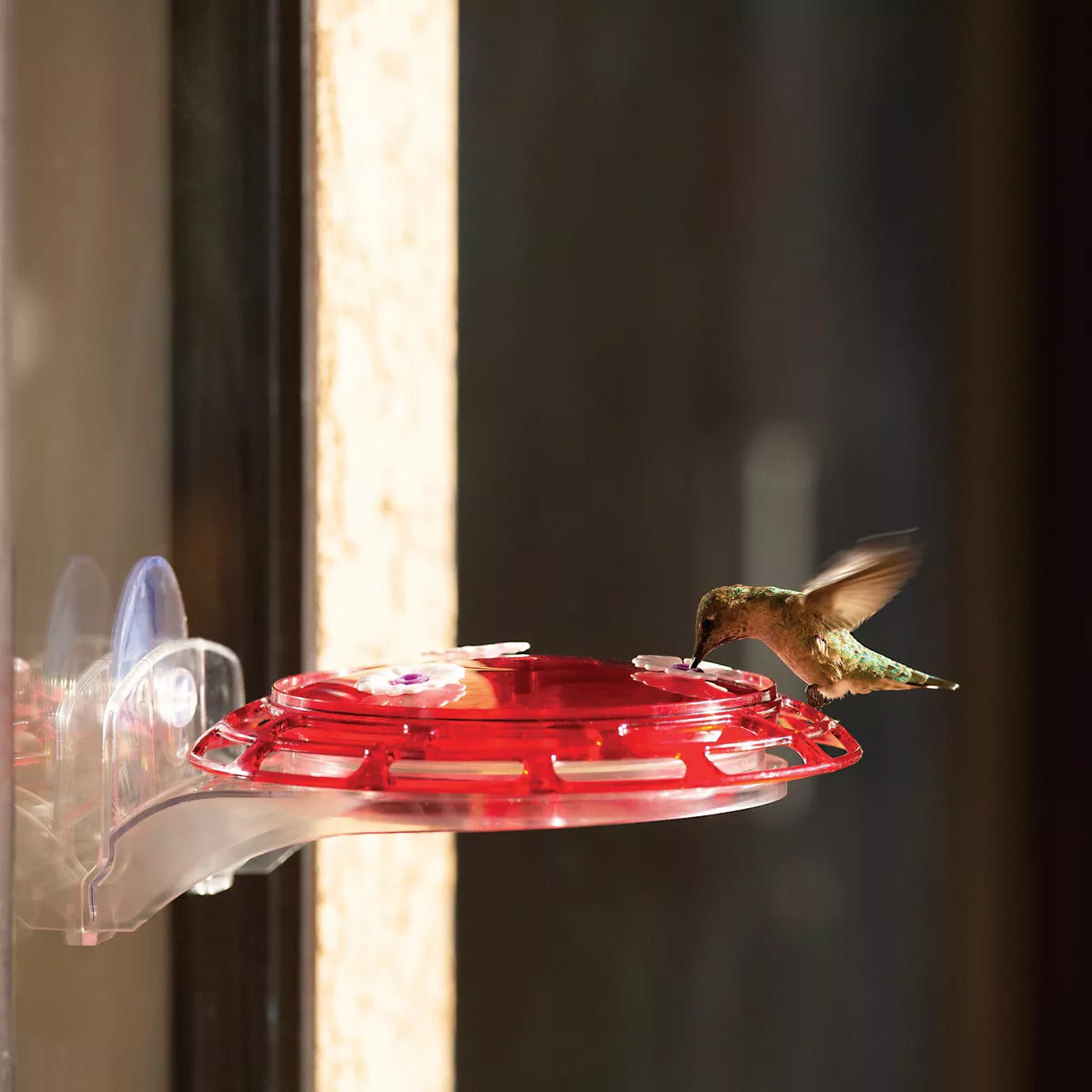 Classic Birds More Birds Bird Health+ 6 Oz. 3-In-1 Hummingbird Feeder - photo 6