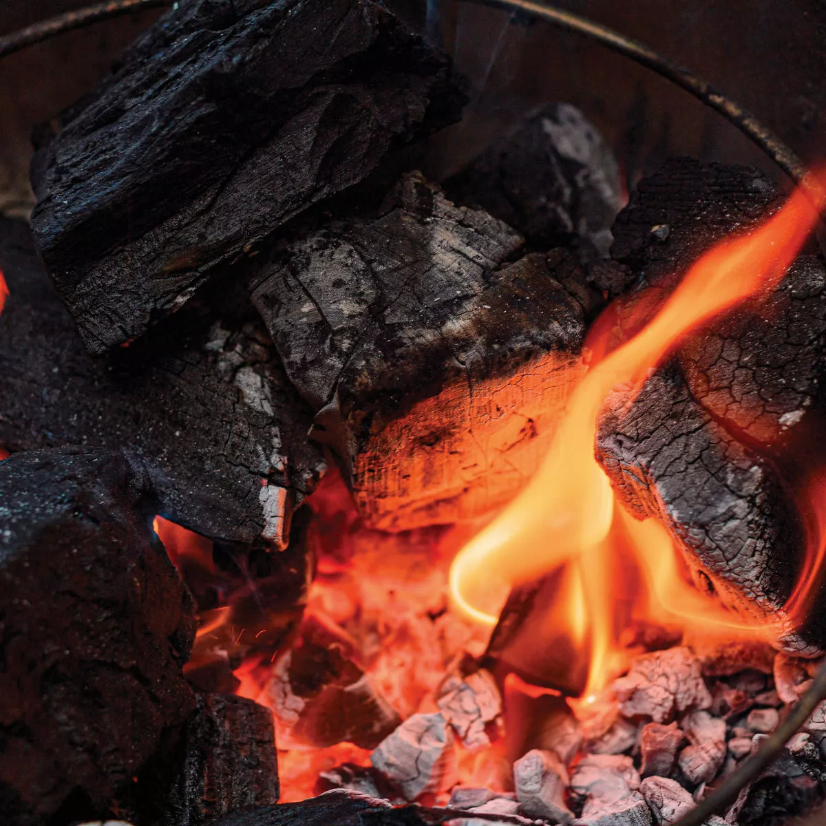 Kamado Joe Odorless Wax Fire Starters (24-Pack) - photo 4