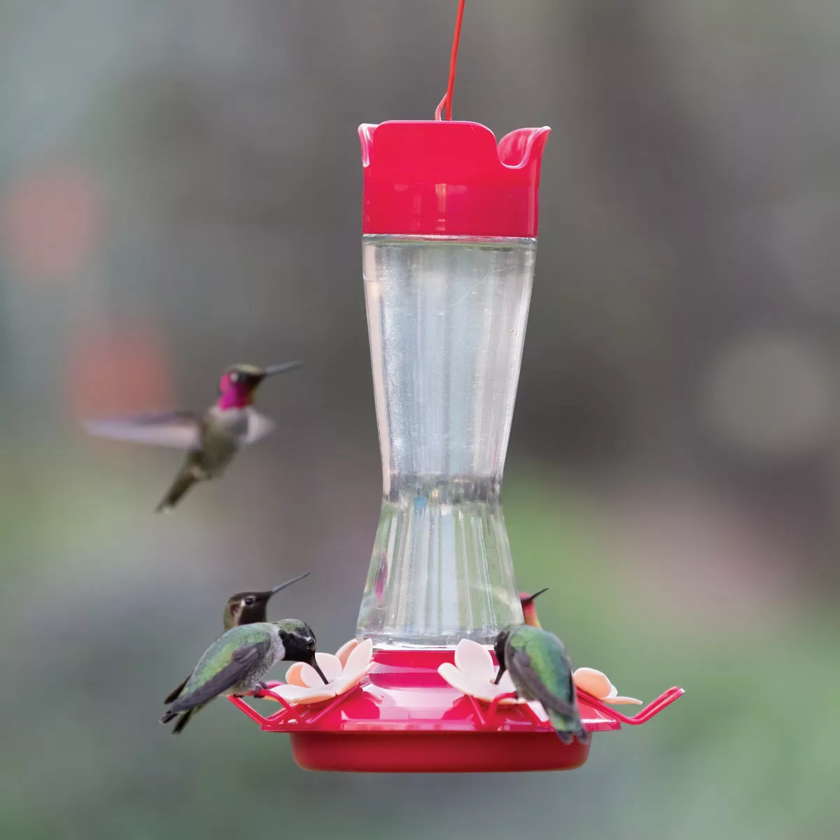 Perky Pet 12 Oz. Glass Top Fill Pinch Waist Hummingbird Feeder - photo 3