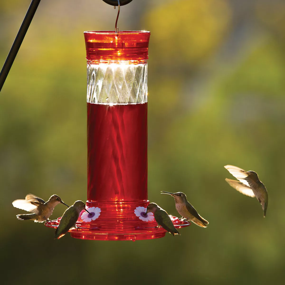 Classic More Birds Bird Health+ 30 Oz. Diamond Hummingbird Feeder - photo 5