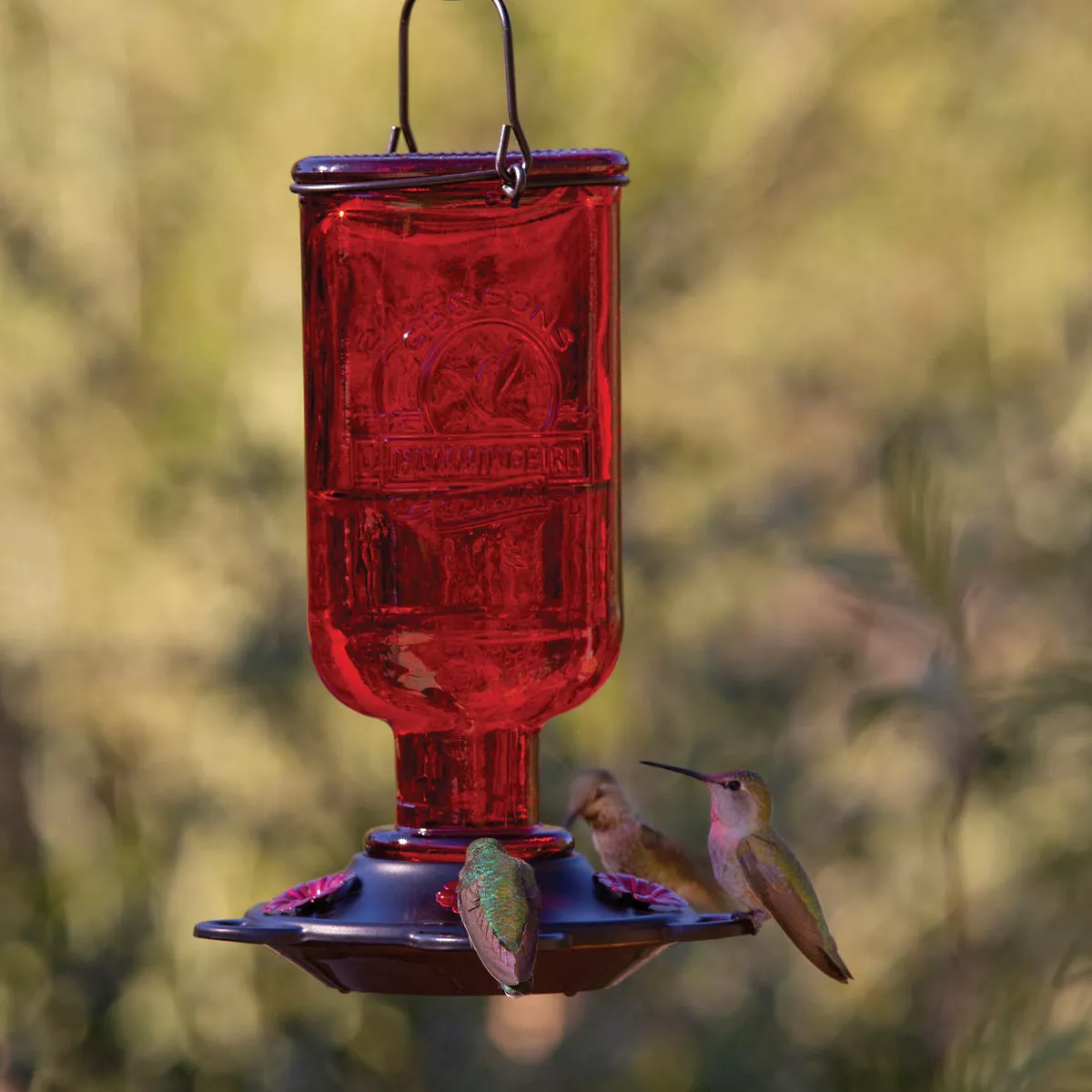 Classic Birds More Birds Elixir 13 Oz. Red Hummingbird Feeder - photo 4