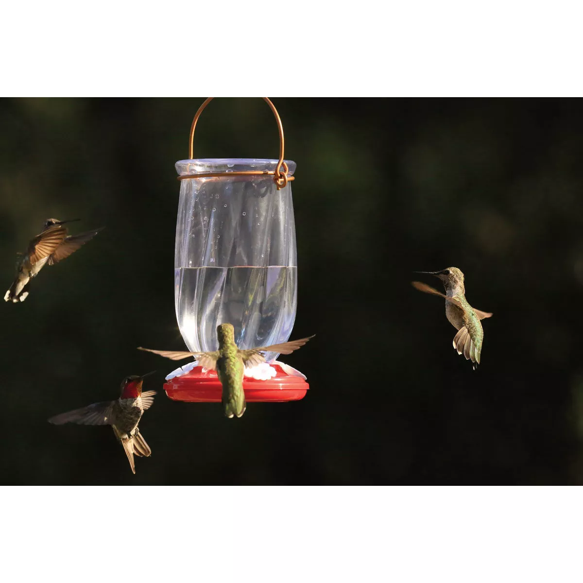 Classic Birds More Birds 22 Oz. Tulip Hummingbird Feeder - photo 3