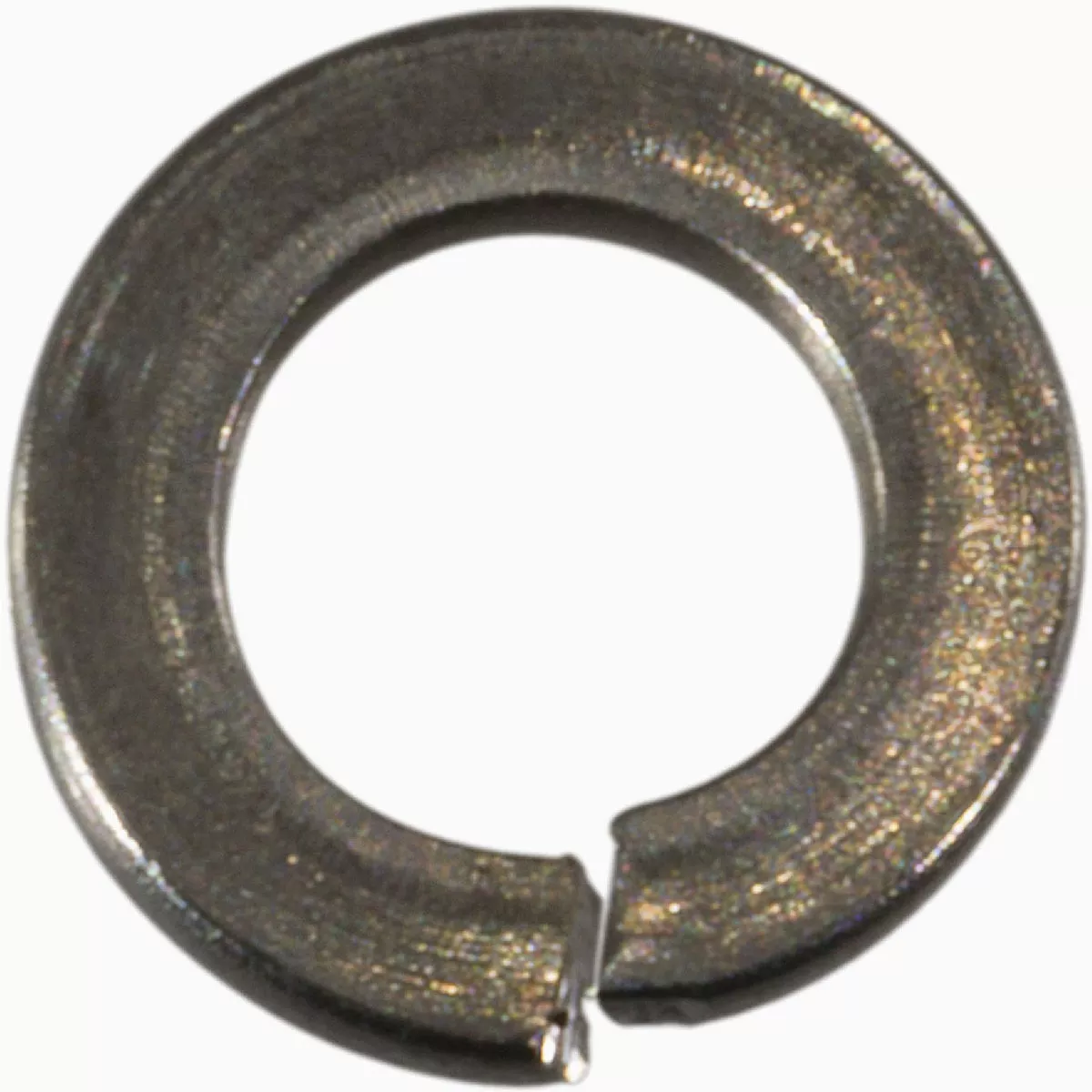 Midwest Fastener 4mm x 7.6mm A2 Stainless Steel Lock Washers (50 Ct.)