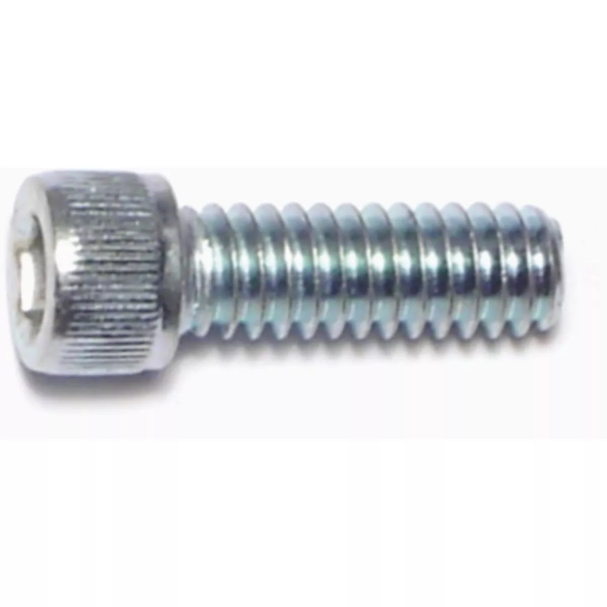 Midwest Fastener 1/4 In.-20 x 3/4 In. 18-8 Stainless Steel Coarse Thread Socket Cap Screws (10 Ct.)