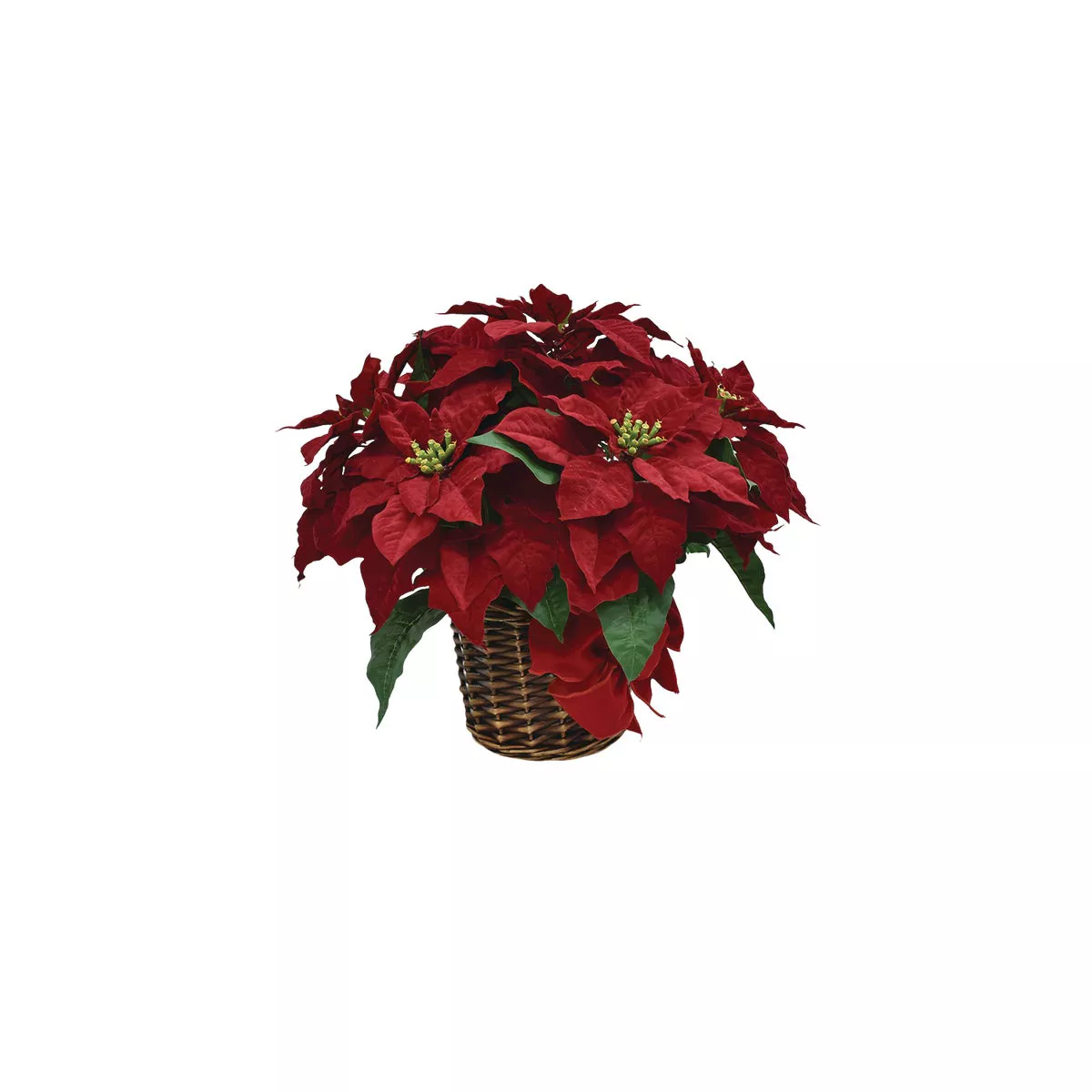 16 In. Regal Red Poinsettia with Red Velvet Bow
