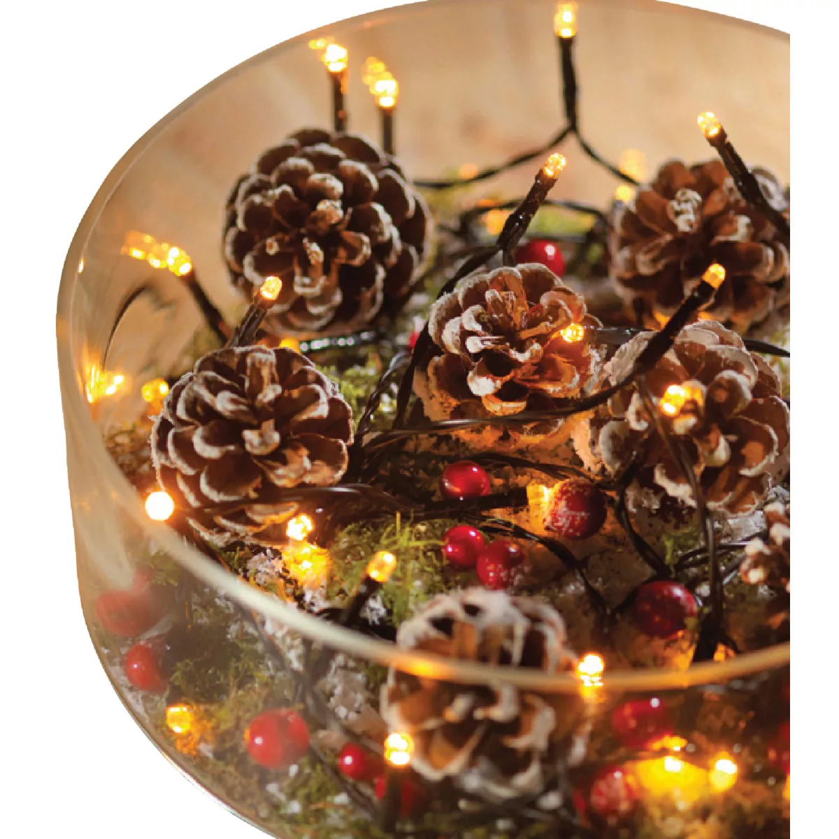 Lumineo Durawise Warm White 48-Bulb 3mm LED Battery Operated Light Set - photo 2