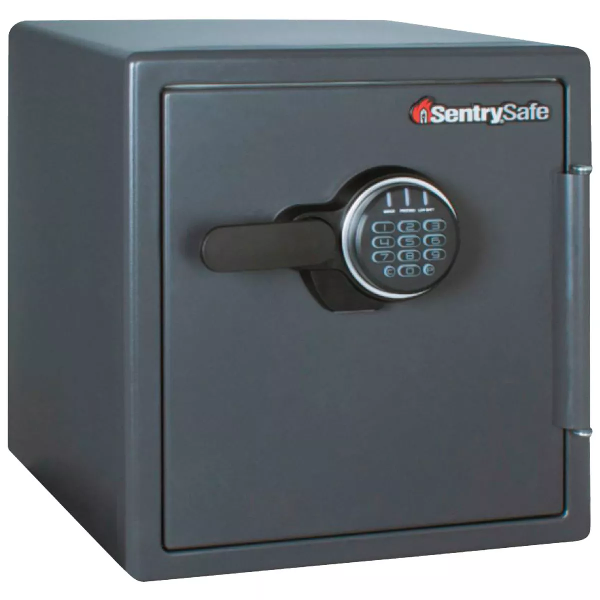 Sentry Safe 1.23 Cu. Ft. Capacity Combination Fire-Safe Floor Safe