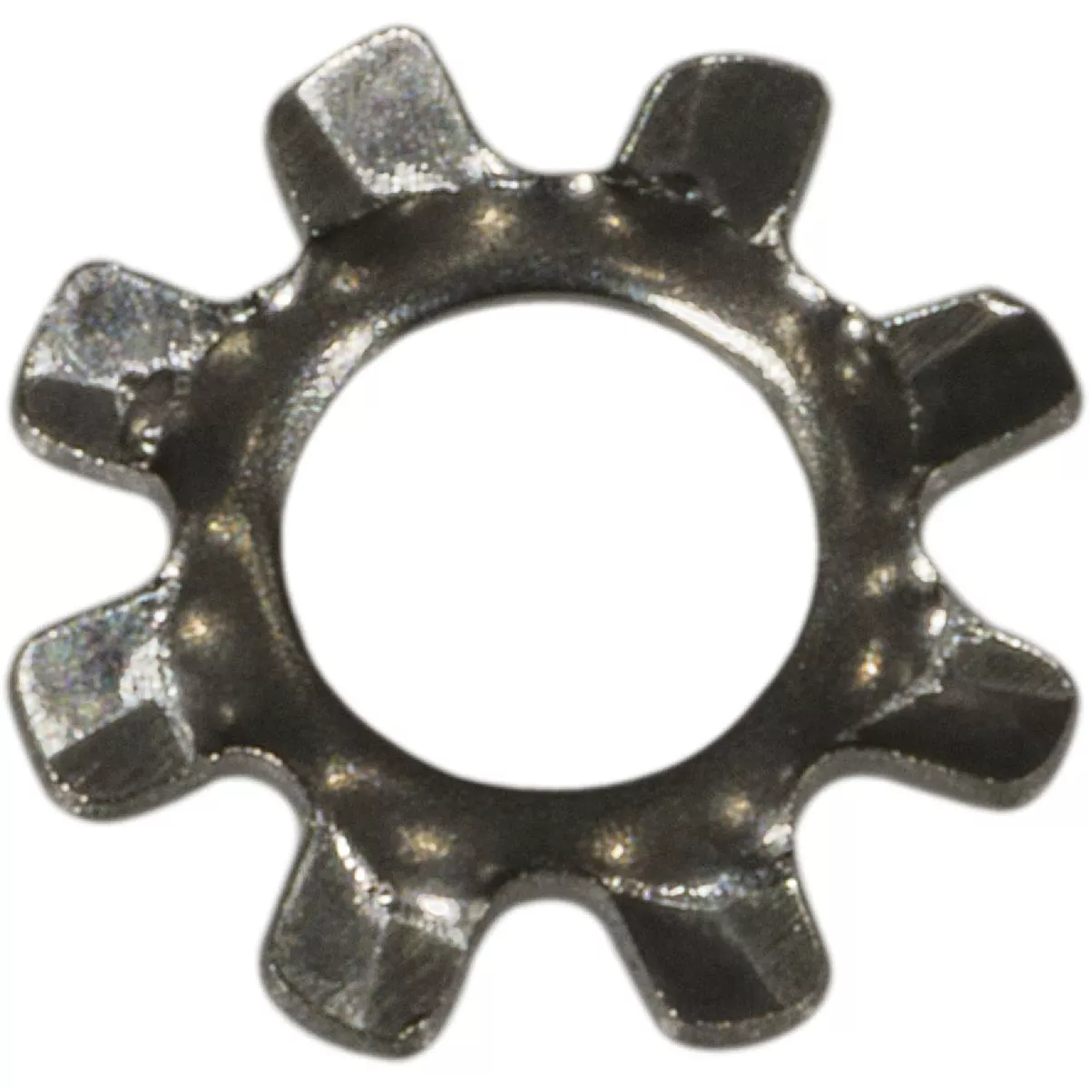 Midwest Fastener #6 x 9/64 In. x 5/16 In. x 9/32 In. 18-8 Stainless Steel External Tooth Lock Washers (40 Ct.)