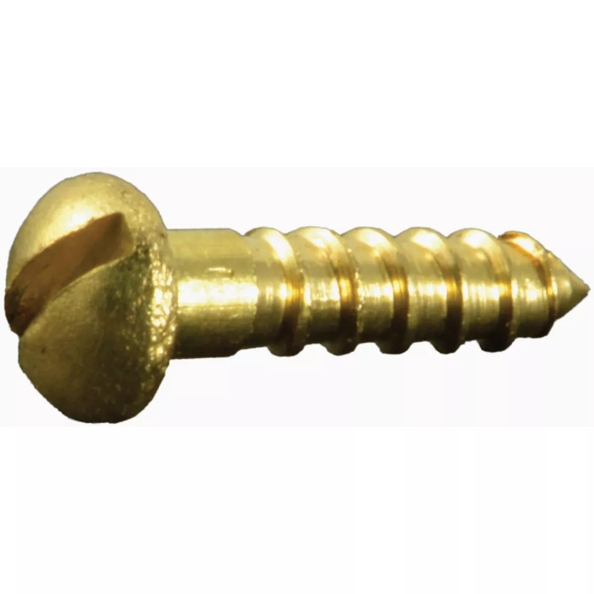Midwest Fastener #2 x 3/8 In. Brass Slotted Round Head Wood Screws (30 Ct.)