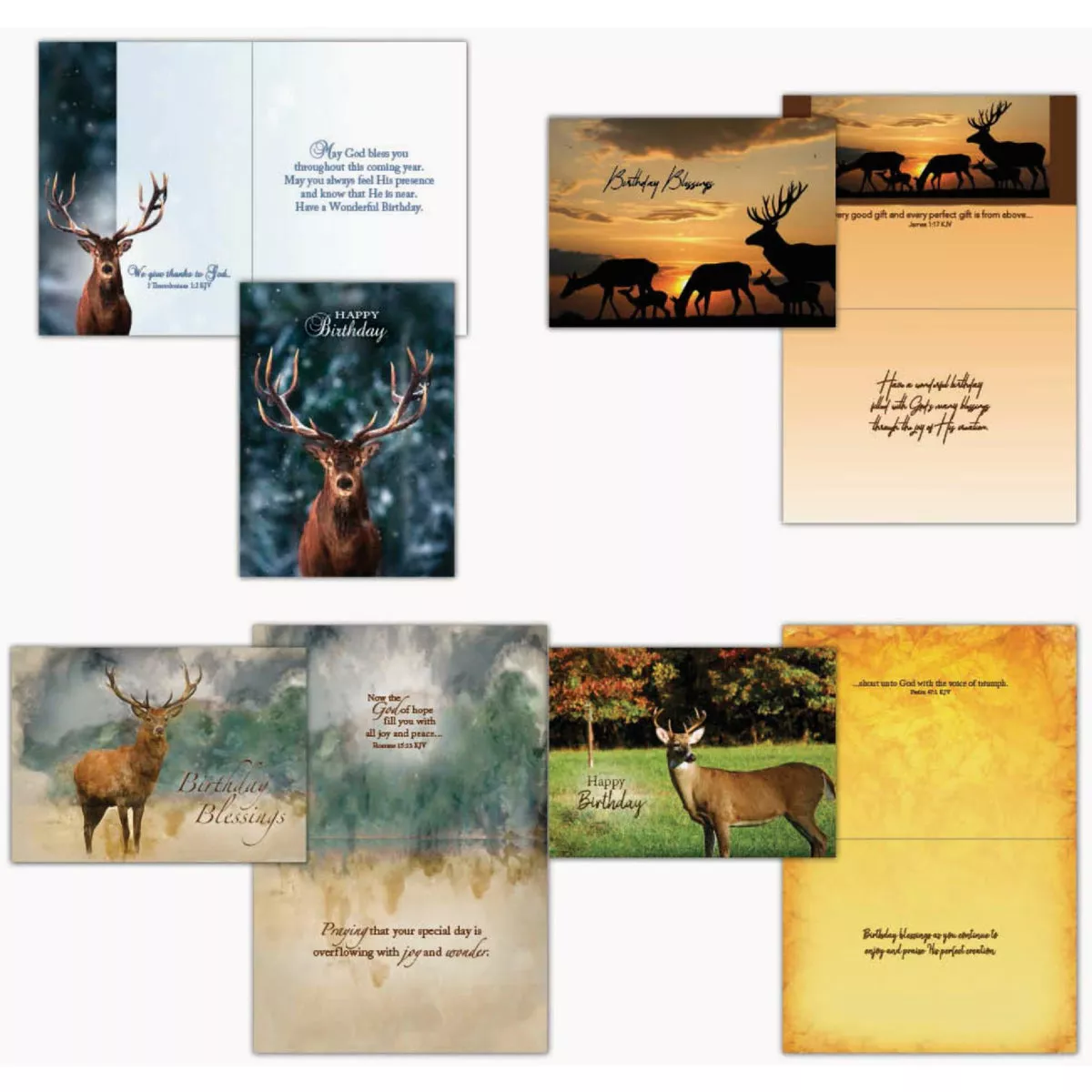 Shared Blessings Birthday - Wildlife Card-
