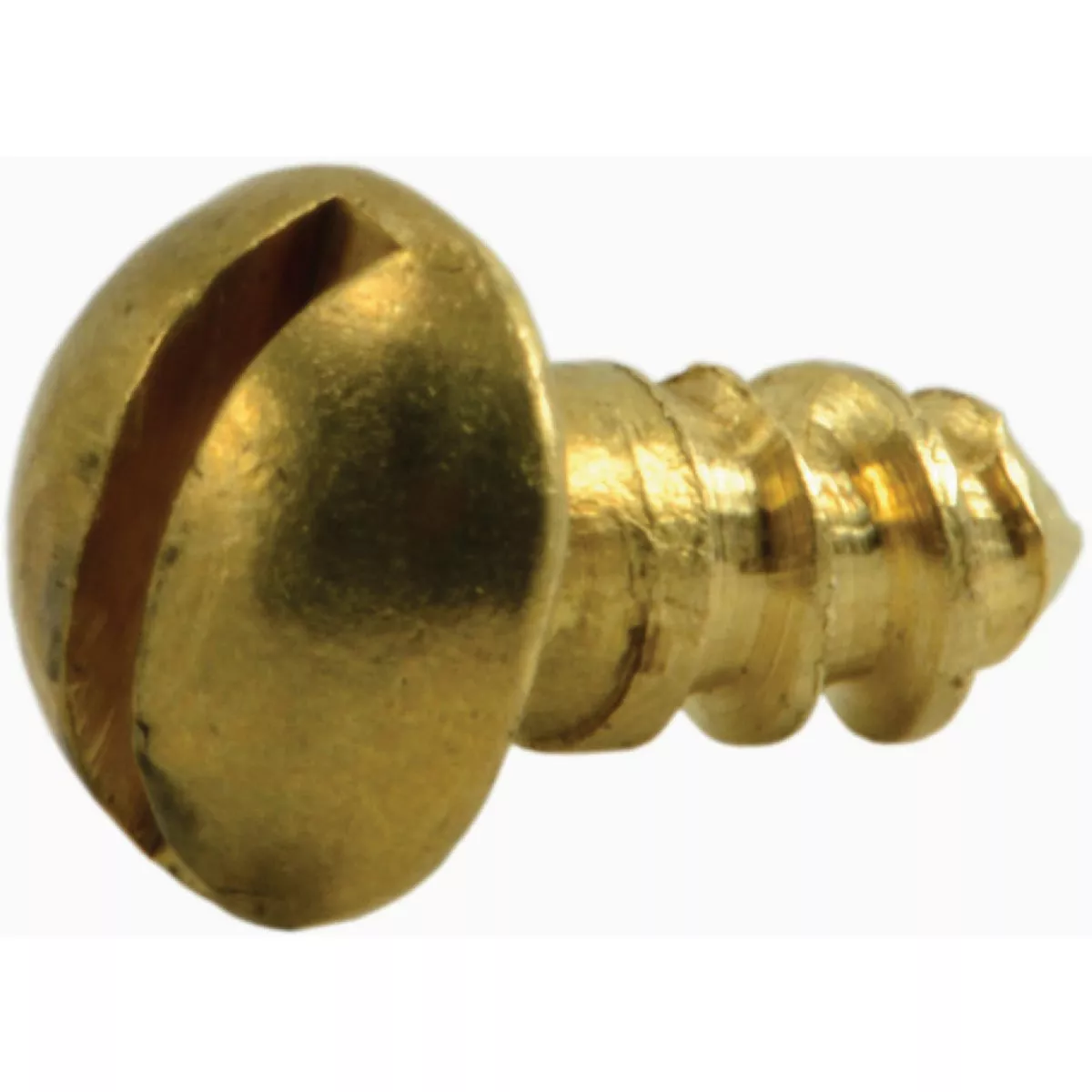 Midwest Fastener #4 x 1/4 In. Brass Slotted Round Head Wood Screws (60 Ct.)