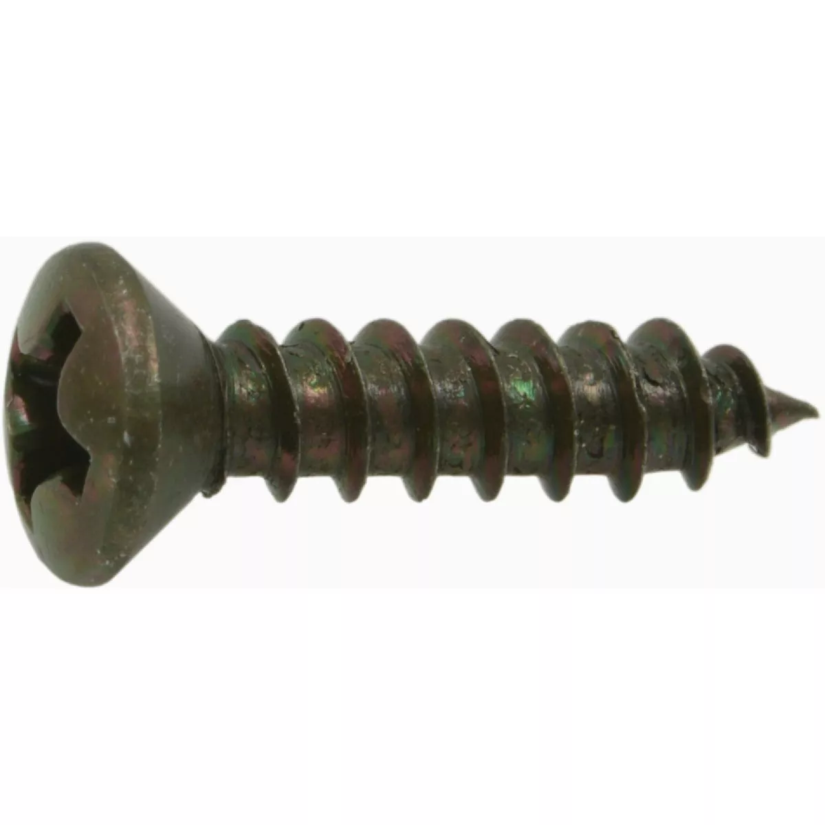 Midwest Fastener #6 x 5/8 In. Steel Phillips Oval Head Decorative Sheet Metal Screws (40 Ct.)