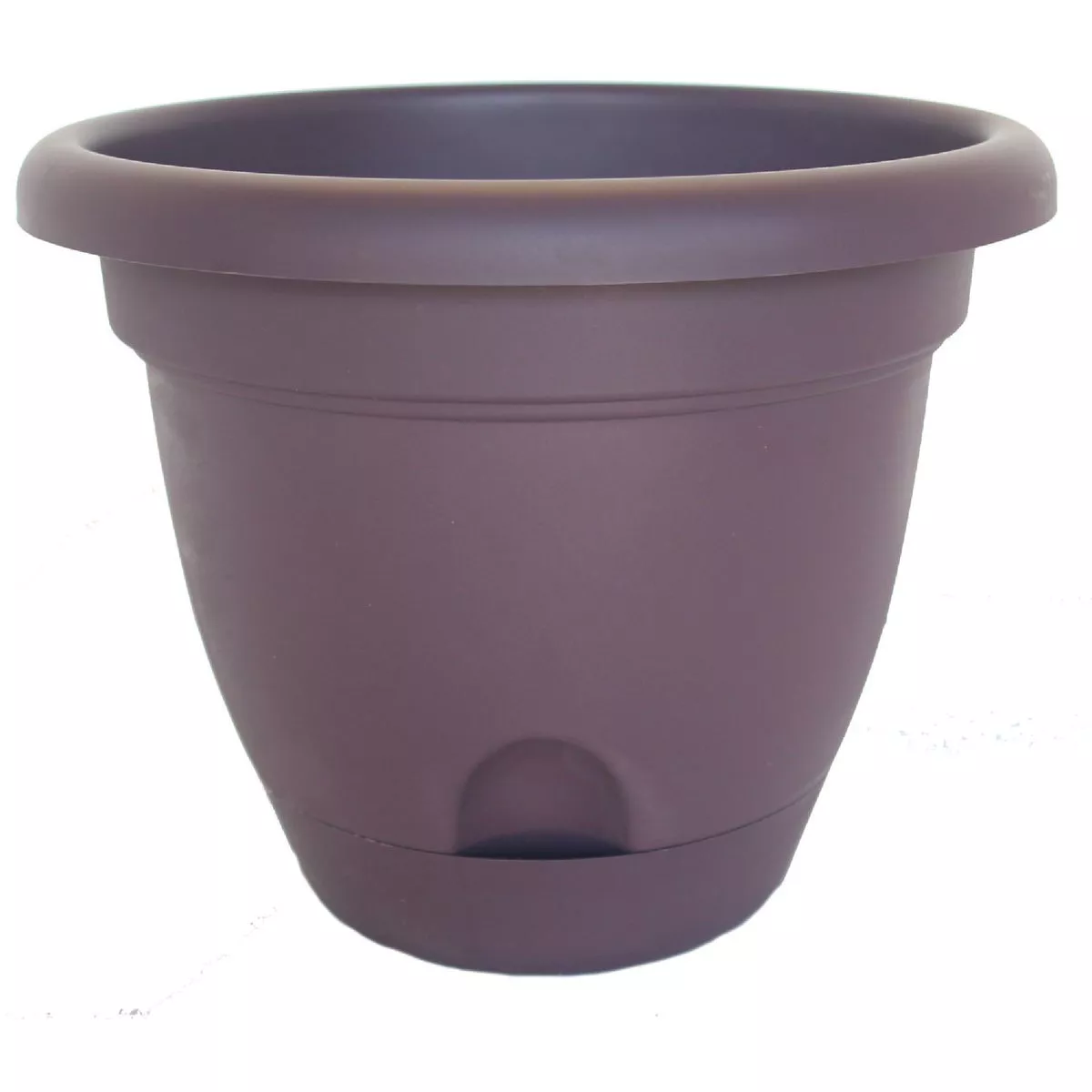 Bloem Lucca 14.25 In. x 18 In. x 18 In. x 9 In. High Density Plastic Exotica Planter
