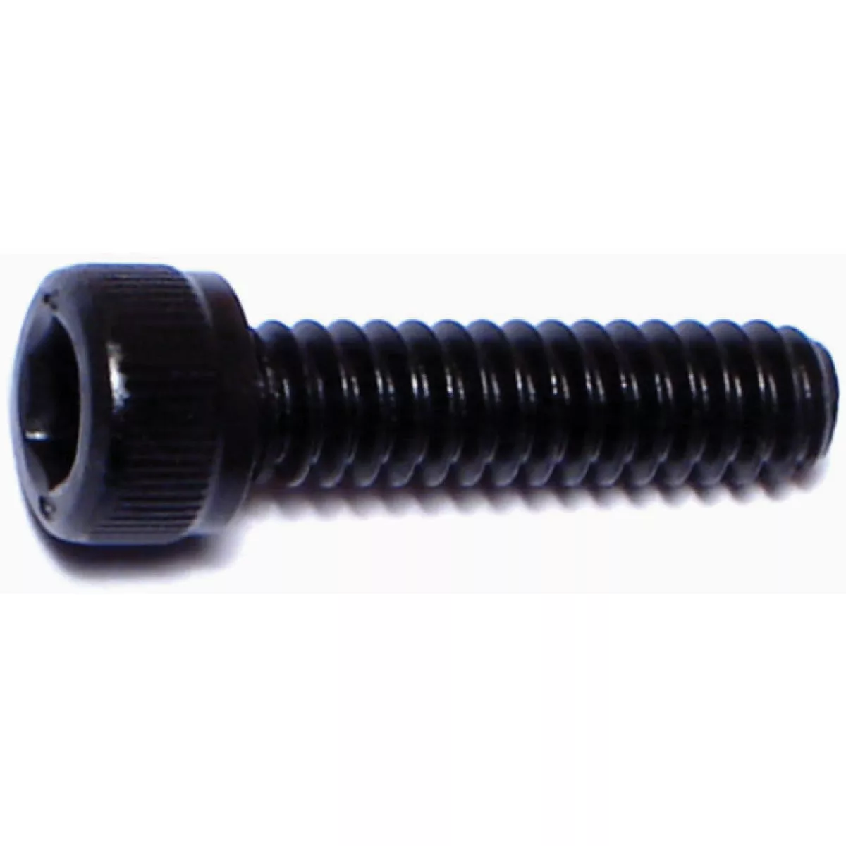 Midwest Fastener #10-24 x 3/4 In. Plain Steel Coarse Thread Socket Cap Screws