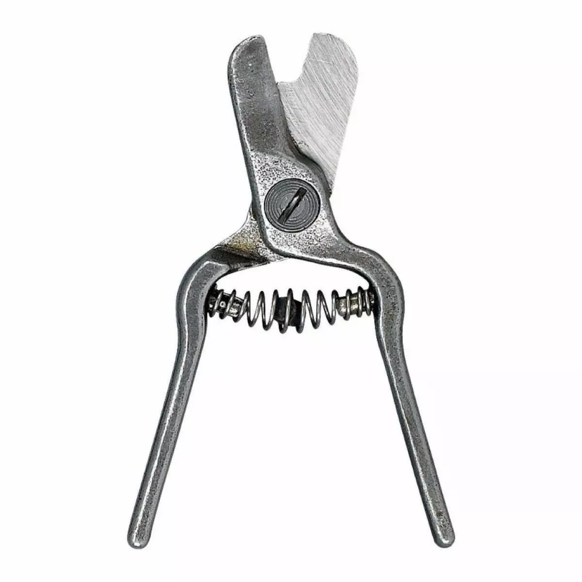 Corona Lemon Shears