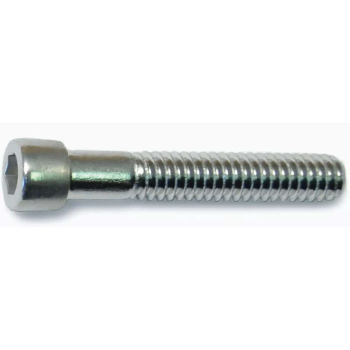 Midwest Fastener 1/4 In.-20 x 1-1/2 In. Polished 18-8 Stainless Steel Coarse Thread Smooth Socket Cap Screws (6 Ct.)-