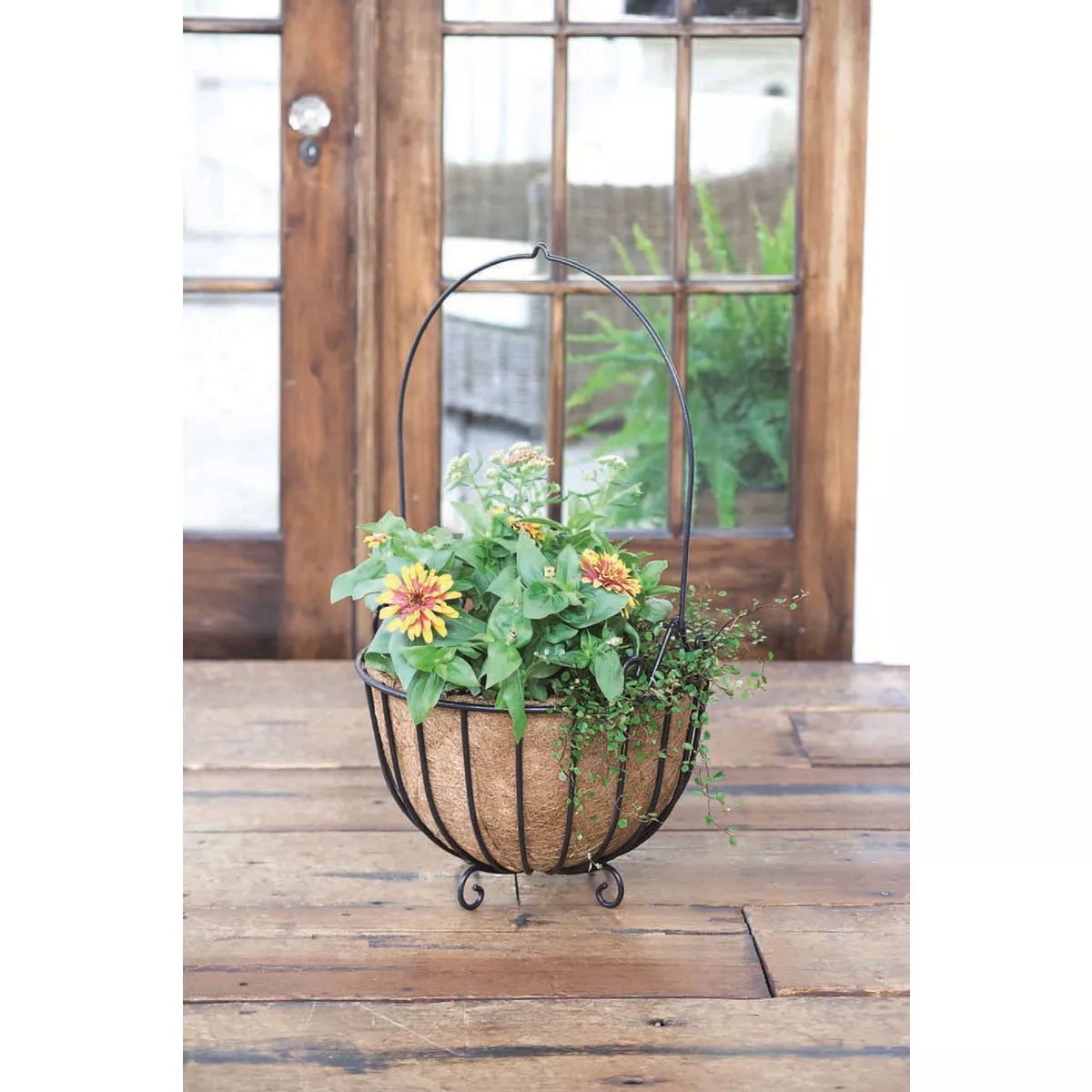 Gardman 16-1/2 In W x 14-1/5 In H x 16-4/5 In D Blacksmith Cauldron Hanging Planter