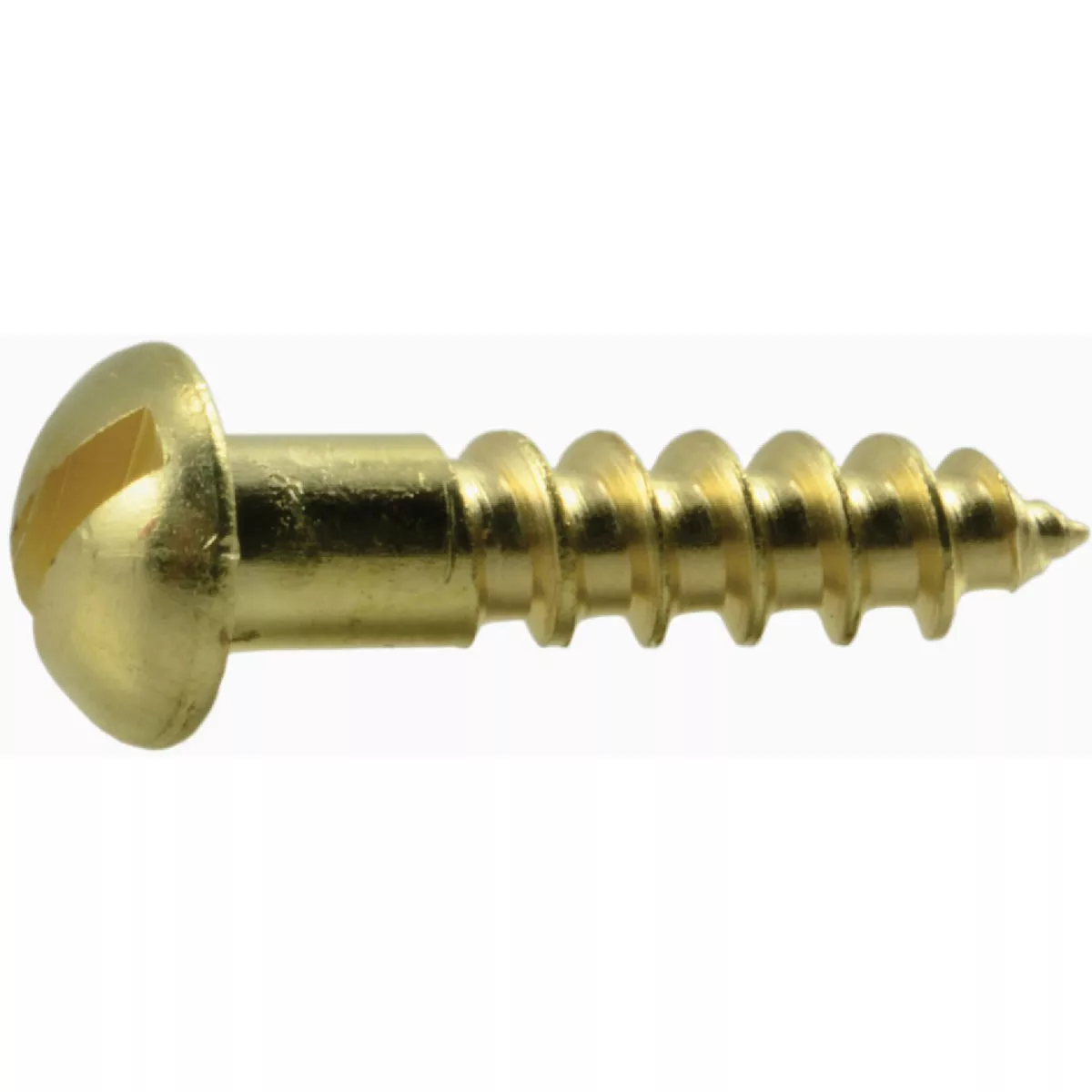 Midwest Fastener #6 x 5/8 In. Brass Slotted Round Head Wood Screws