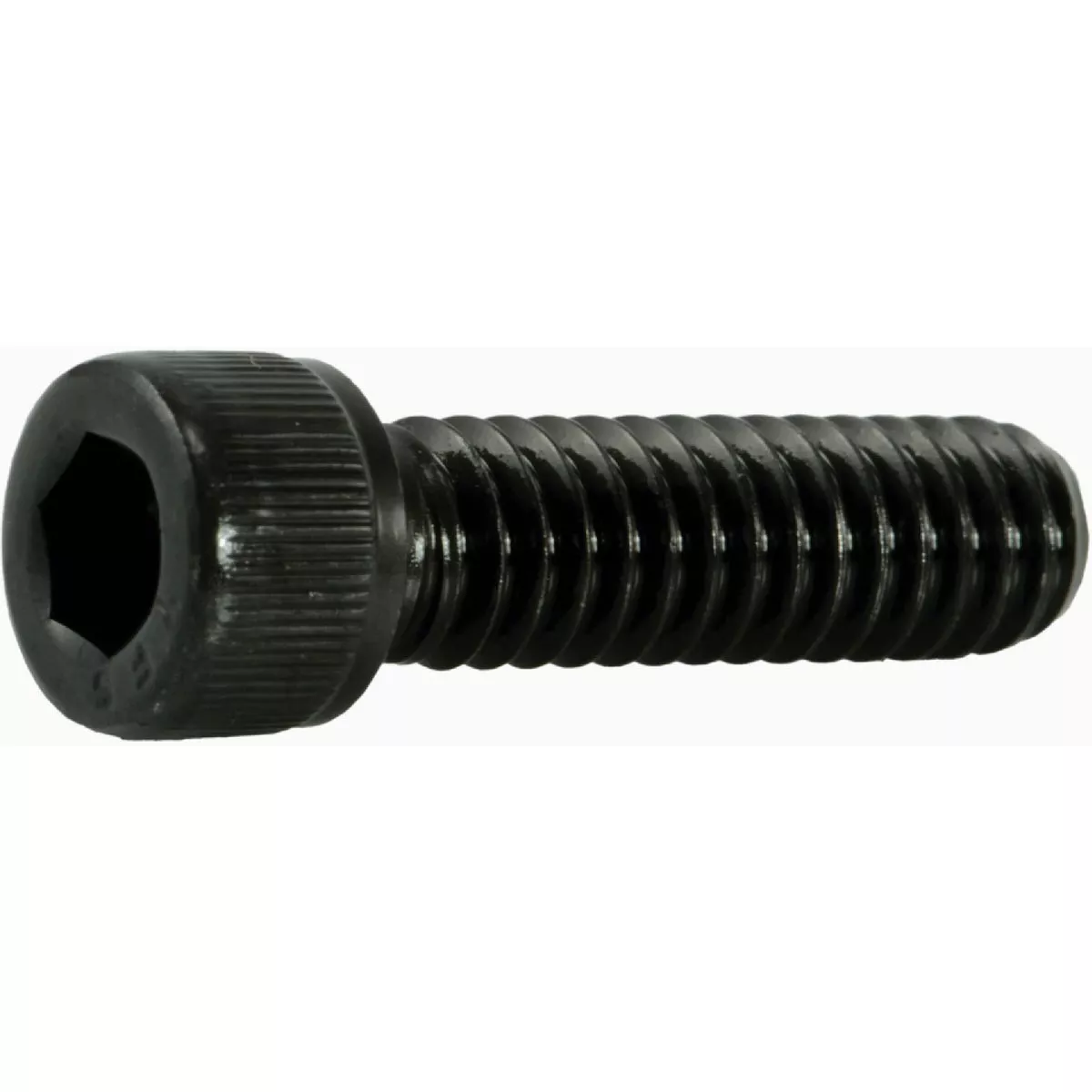 Midwest Fastener 1/4 In.-20 x 7/8 In. Steel Coarse Thread Socket Cap Screws
