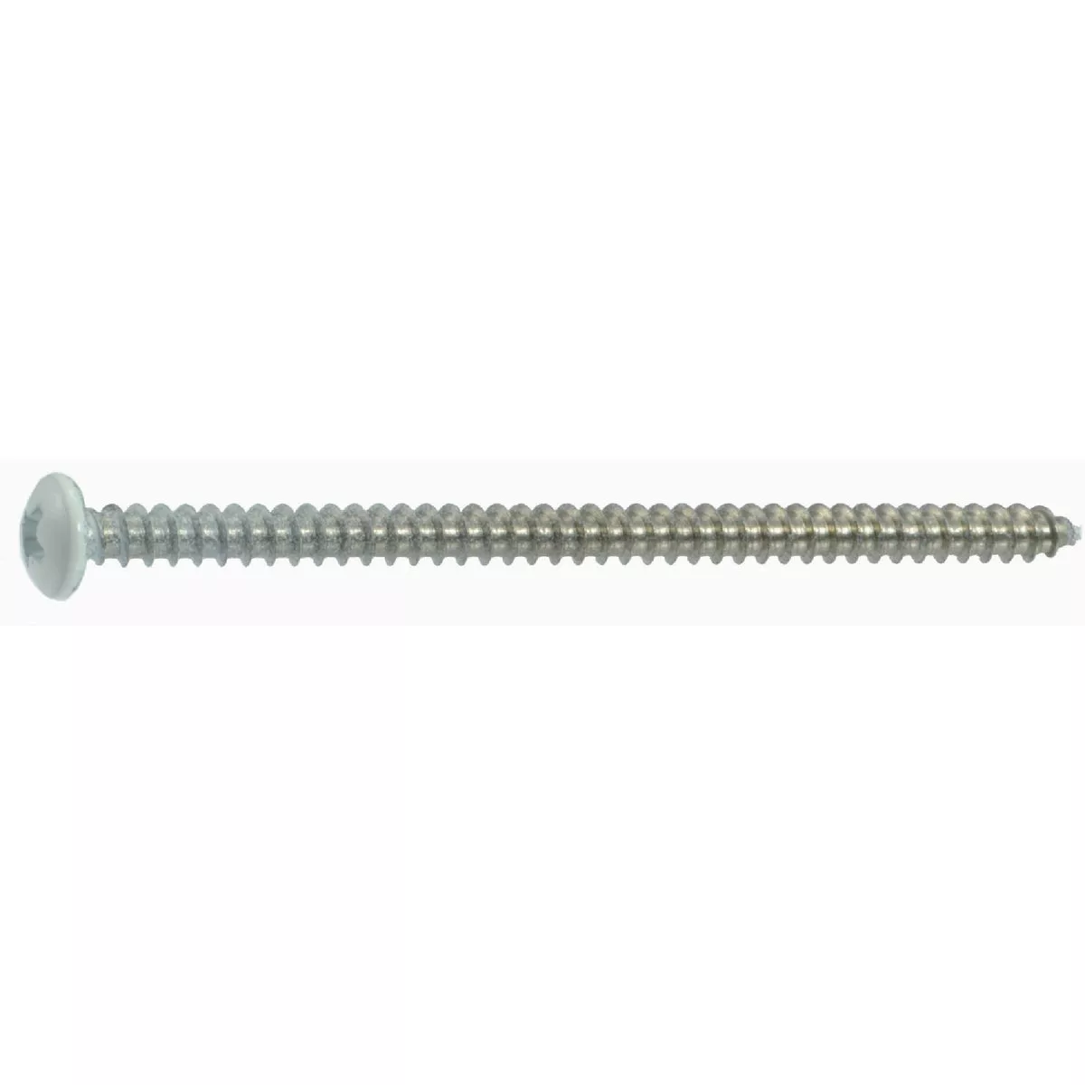 Midwest Fastener #8 x 3 In. White Painted 18-8 Stainless Steel Phillips Pan Head Sheet Metal Screws (10 Ct.)
