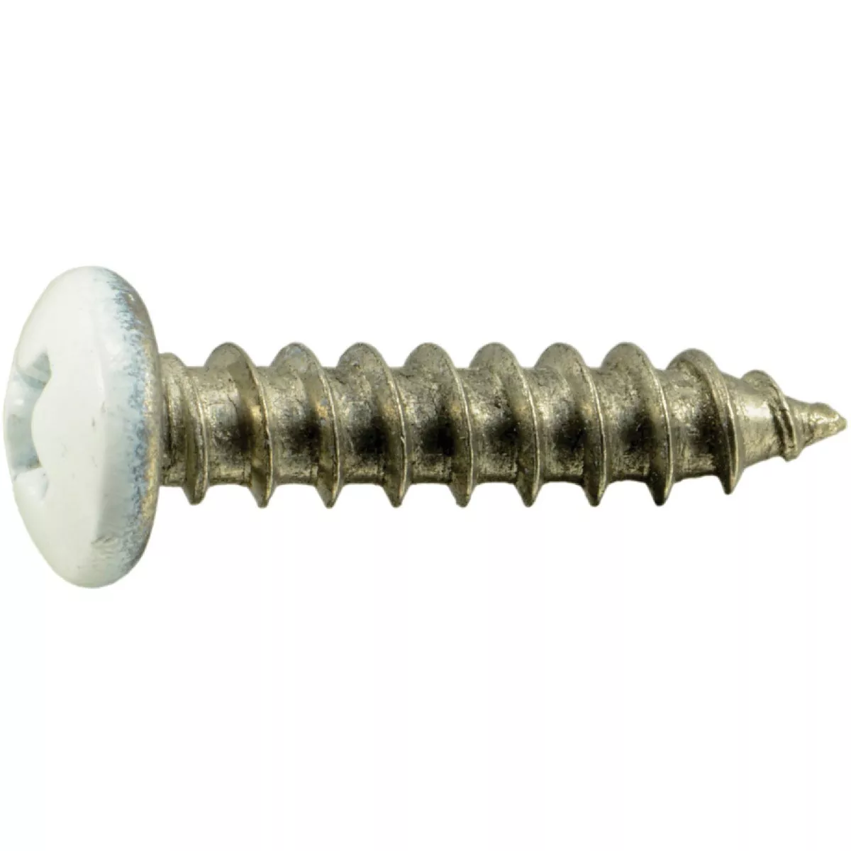 Midwest Fastener #8 x 3/4 In. White Painted 18-8 Stainless Steel Phillips Pan Head Sheet Metal Screws (10 Ct.)-