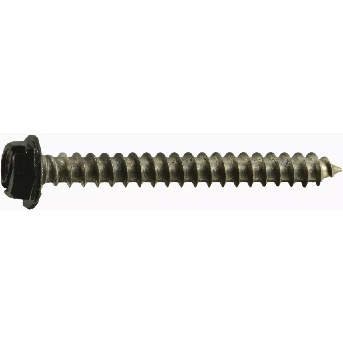 Midwest Fastener #8 x 1-1/2 In. Black Painted 18-8 Stainless Steel Hex Washer Head Sheet Metal Screws (1 Ct.)