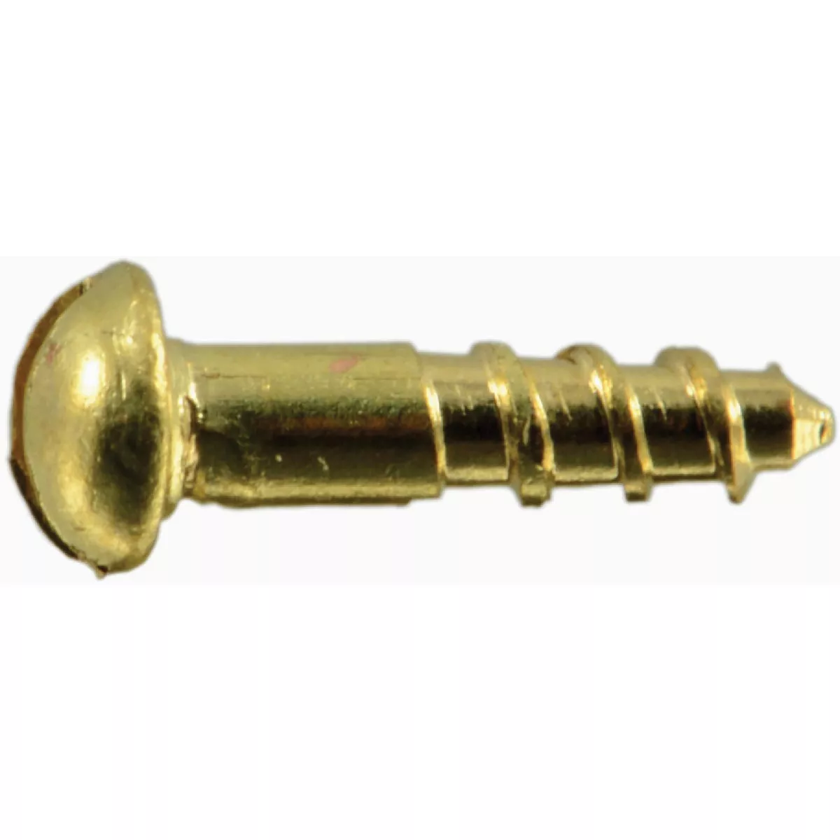 Midwest Fastener #0 x 1/4 In. Brass Slotted Round Head Wood Screws