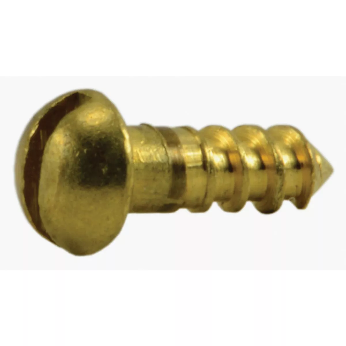 Midwest Fastener #2 x 1/4 In. Brass Slotted Round Head Wood Screws (60 Ct.)-