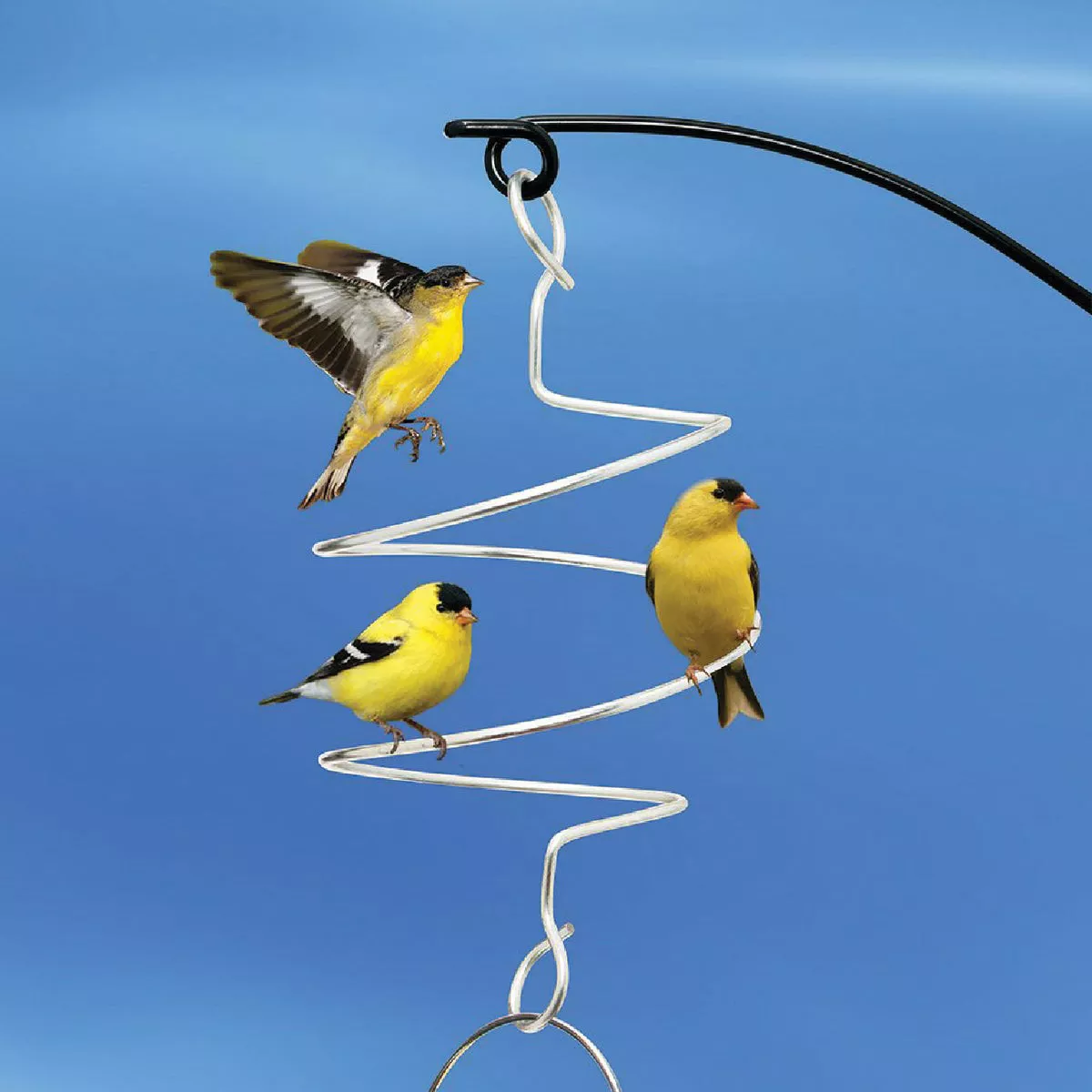Droll Yankees 12 In. Bird Feeder Squiggle Hook