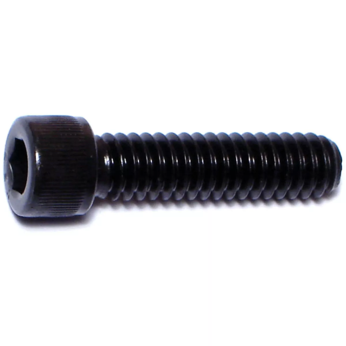 Midwest Fastener 1/4 In.-20 x 1 In. Plain Steel Coarse Thread Socket Cap Screws (10 Ct.)