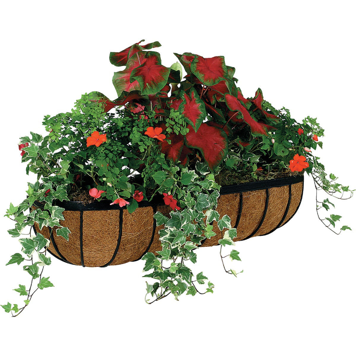 Gardman 30 In. Black Steel Wall Mount Trough Planter Do it Best