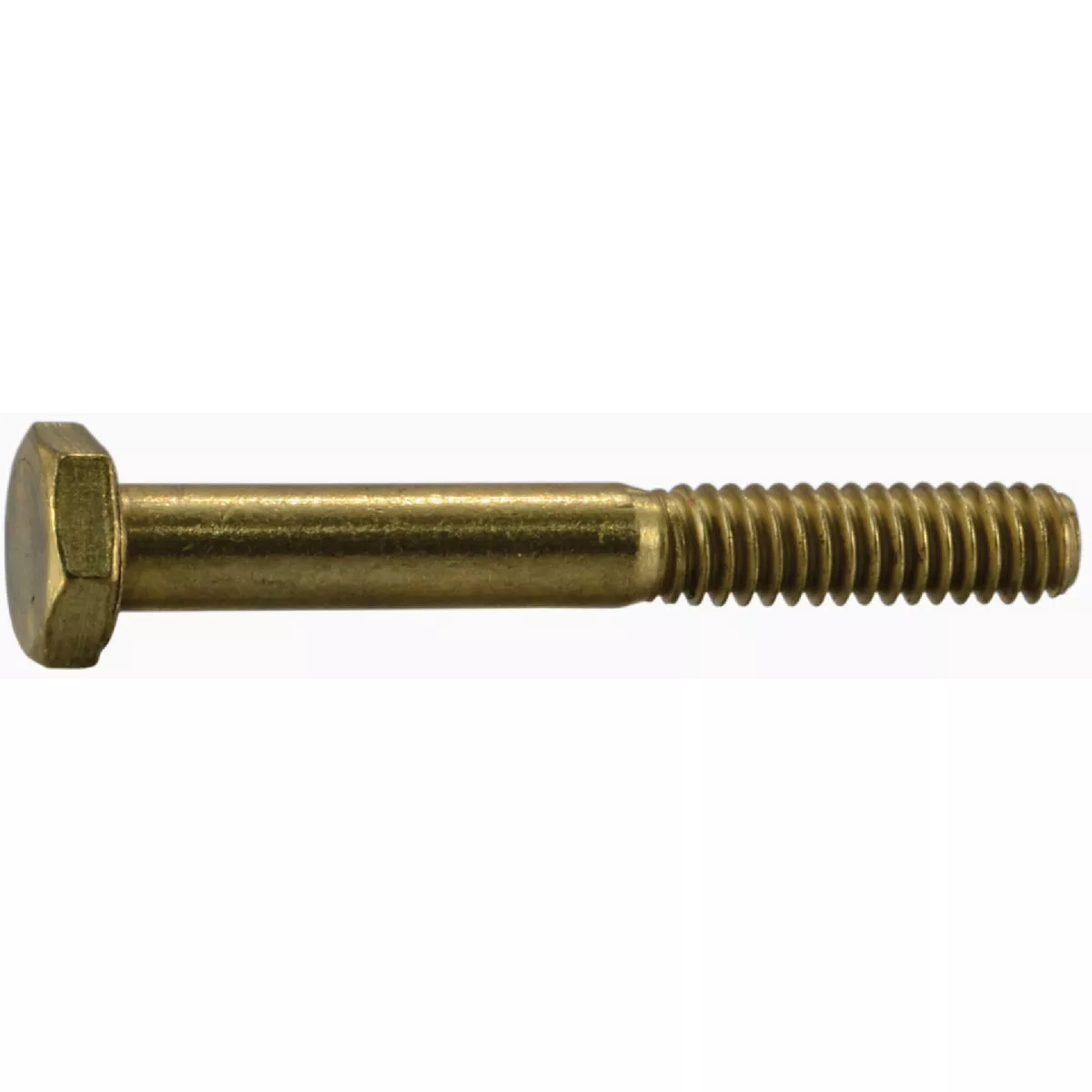 Midwest Fastener 1/4 In.-20 x 2 In. Brass Coarse Thread Hex Cap Screws