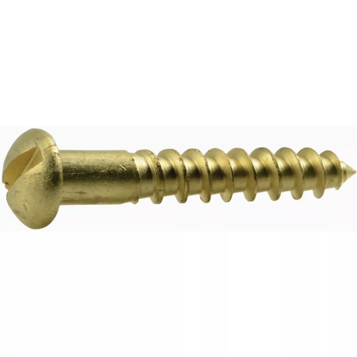 Midwest Fastener #6 x 7/8 In. Brass Slotted Round Head Wood Screws (25 Ct.)