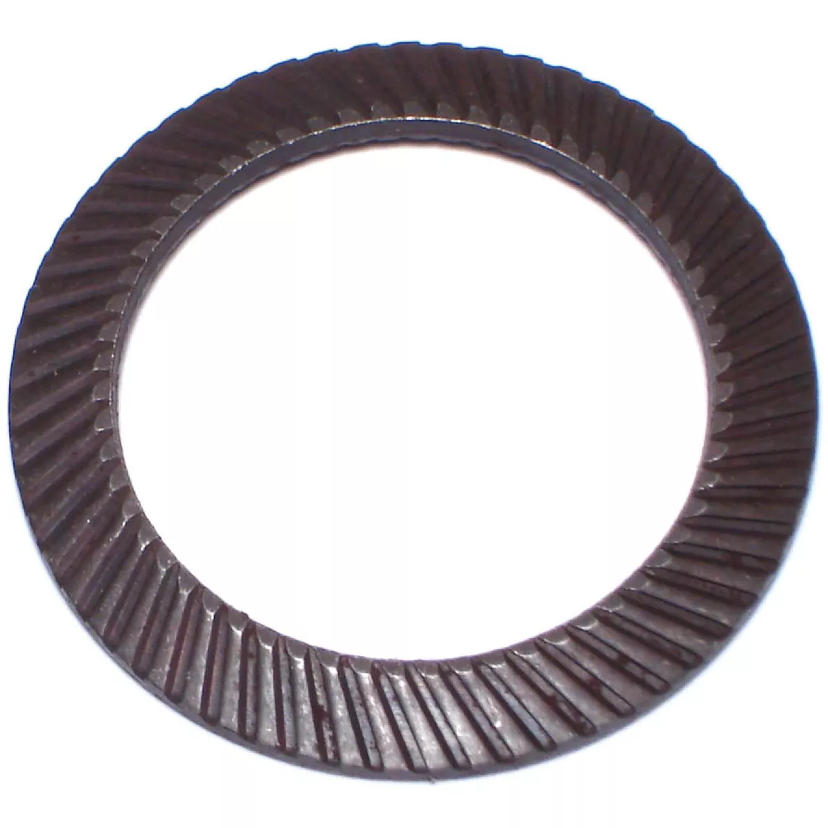 Midwest Fastener 5/16 In. x 21/64 In. x 1/2 In. Zinc Plated Grade 2 Steel Safety Lock Washers (25 Ct.)