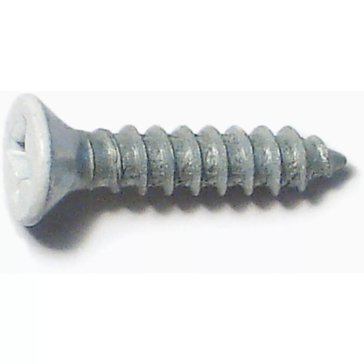 Midwest Fastener #5 x 5/8 In. White Steel Phillips Flat Head Hinge Screws