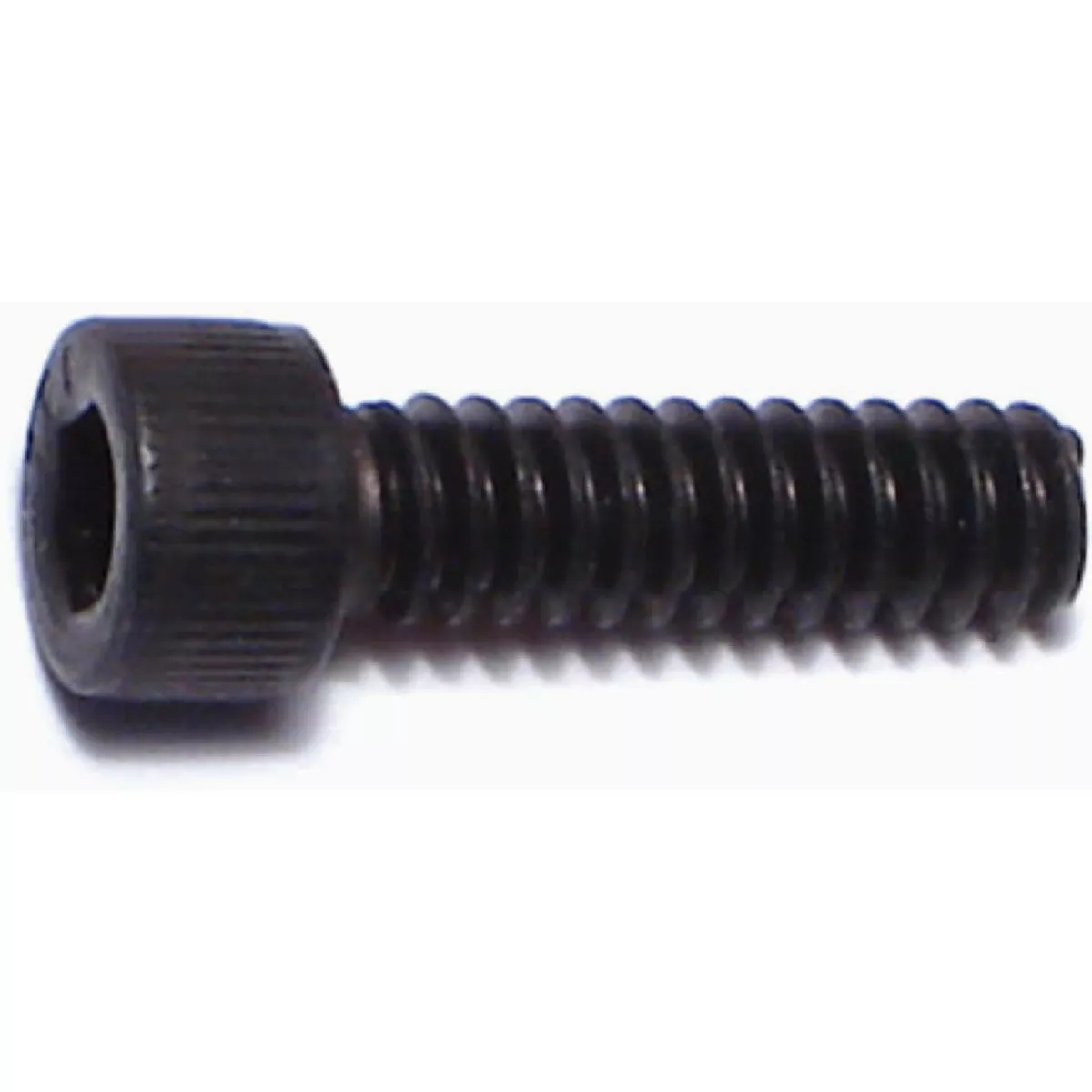 Midwest Fastener #6-32 x 1/2 In. Plain Steel Coarse Thread Socket Cap Screws