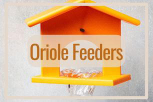 Oriole Bird Feeders