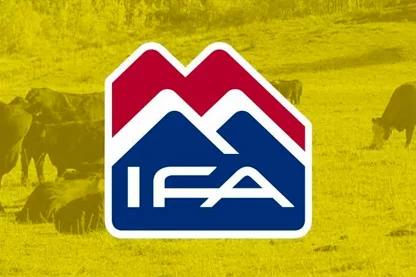 ifa