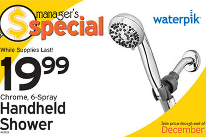 Manager's Special - Handheld Shower